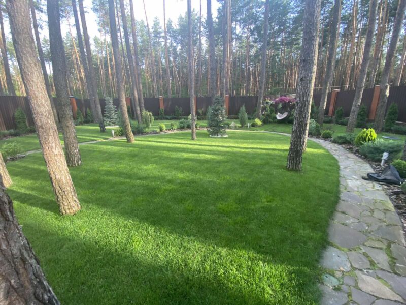 https://mslandshaft.ru/storage/app/uploads/public/642/ac8/b04/642ac8b0465e0893828719.jpg